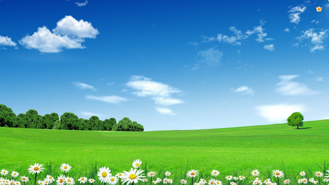 冰点博客成功更新halo建站系统